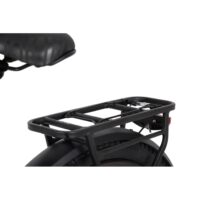 sunremo_2025_0158.jpg City Commute Step-Thru E-Bike 36V250W Hub Motor Full Safety Kit