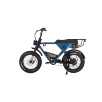 All-Terrain Fat Tire E-Bike | 750W Motor & Cargo-Carrying Design