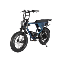 All-Terrain Fat Tire E-Bike | 750W Motor & Cargo-Carrying Design