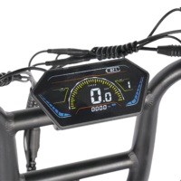 All-Terrain Fat Tire E-Bike | 750W Motor & Cargo-Carrying Design