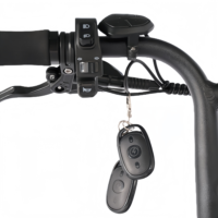 All-Terrain Fat Tire E-Bike | 750W Motor & Cargo-Carrying Design
