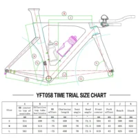 Sunremo T1100 Carbon TT Frame Time Trial Bike Aero Racing Triathlon Bicycle