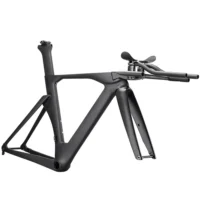 Sunremo T1100 Carbon TT Frame Time Trial Bike Aero Racing Triathlon Bicycle
