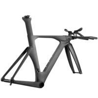 Sunremo T1100 Carbon TT Frame Time Trial Bike Aero Racing Triathlon Bicycle