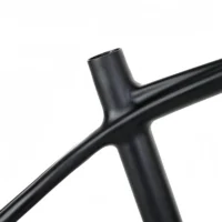 CFM0021 Lightweight 29-inch MTB Full Carbon Hardtail Frame 12x142mm BB92