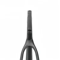 CFM0021 Lightweight 29-inch MTB Full Carbon Hardtail Frame 12x142mm BB92