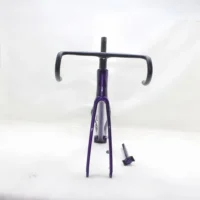 Hot Selling Carbon Fiber Frame T1000 Xxs/Xs/S/M/L Road Bike Frame Bicycle Road Racing Frame