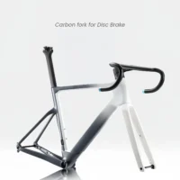 700C Carbon Road Bike Frame Fully Hidden Cable FrameSet Thru Axle 142 Disc Brake