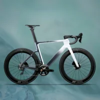 700C Carbon Road Bike Frame Fully Hidden Cable FrameSet Thru Axle 142 Disc Brake