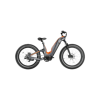Lightweight All-Terrain E-Bike | 160Nm Torque & 60-Mile Long Range