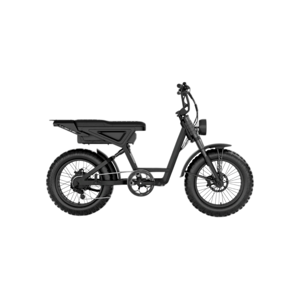 Dual-Purpose Fat Tire Scrambler E-Bike (City/Off-Road)