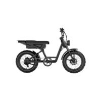 Dual-Purpose Fat Tire Scrambler E-Bike (City/Off-Road)