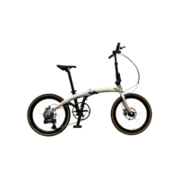 10-Speed Gearing Aluminum Alloy Bike with Disc Brakes