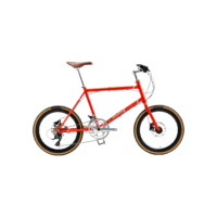 10-Speed Gearing Aluminum Alloy Folding Bike with Disc Brakes