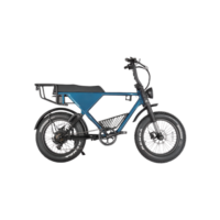 All-Terrain Fat Tire E-Bike | 750W Motor & Cargo-Carrying Design