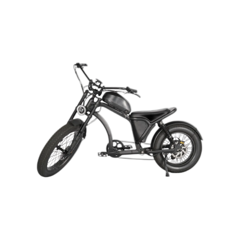Electric Bike for Adults,2000W Brushless Motor 60V/20Ah Up to 50-80 Miles E-Bike Front/Rear Turn Signal Dual Suspension Ebikes