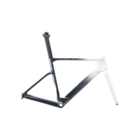 700C Carbon Road Bike Frame Fully Hidden Cable FrameSet Thru Axle 142 Disc Brake