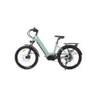 sunremo_2025_0153-1.png City Commute Step-Thru E-Bike 36V250W Hub Motor Full Safety Kit