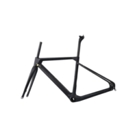 Carbon Fiber Frameset Toray Fibers - Internal Cable Routing | Rigid Fork | Gravel Ready