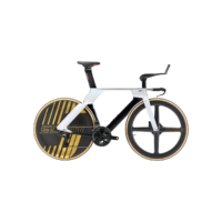 Aerodynamic Road Bike - Tri-Spoke Front Wheel | Enclosed Rear Wheel | Black White Gold Accent