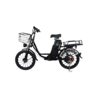 Easy-Mount Cargo E-Bike | 500W Motor & Full Suspension for Comfort